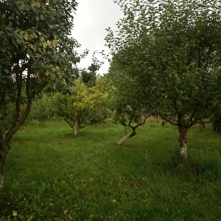 Casa de Férias Renatka *