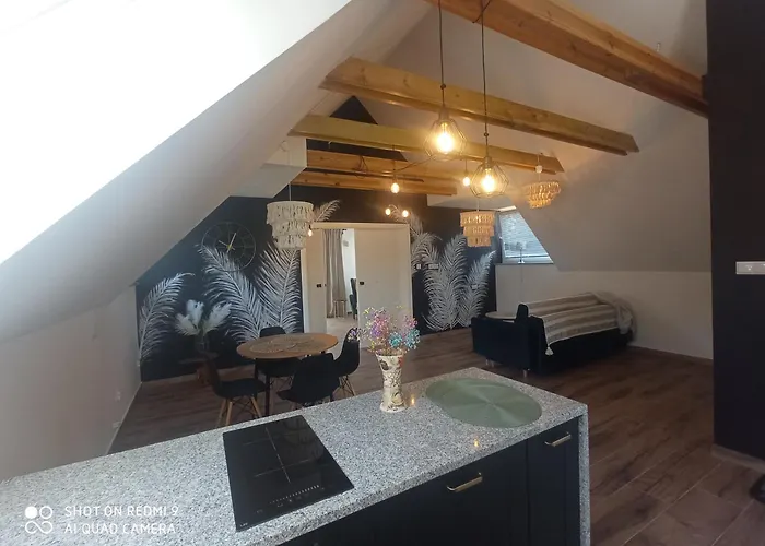 Renatka Dom wakacyjny Barkowo (Czluchow)