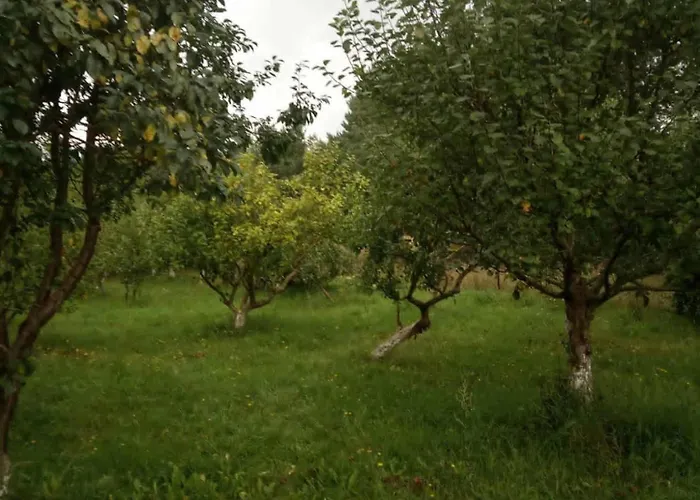 Dom wakacyjny Renatka *