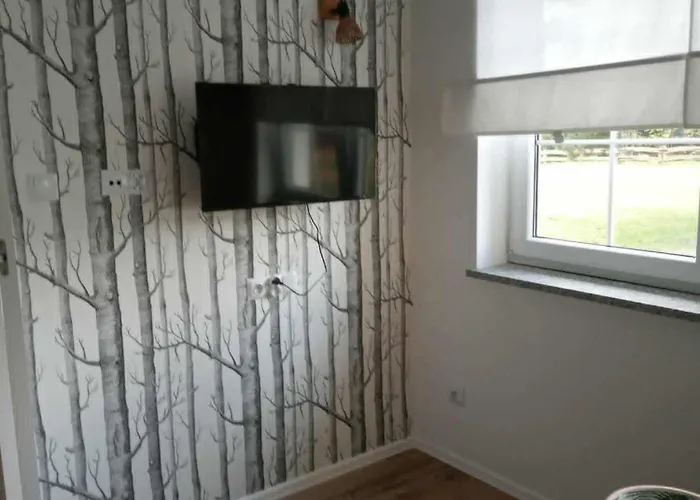 Dom wakacyjny Renatka *